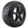 1:8 TRUGGY ROCK MTD ON 5-SPOKE BLACK 0 OFFSET(PR)