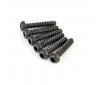 ROUND HEAD SELF TAPPING HEX SCREW 6PCS2*10