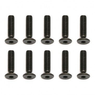 M2.5 X 10MM FHCS SCREWS TC6/TC7.1 (10)