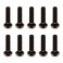 M2.5 X 10 BHCS SCREWS (10)