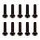 M2.5 X 10 BHCS SCREWS (10)