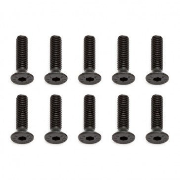 M4 X 16MM FHCS SCREWS (10)