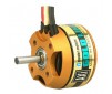 Brushless GOLD line : AXI2808/20