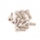 SPEED PACK M3 x 8 SS Cap Hd  (pk10)