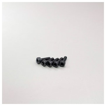 Metallic Cap Screws M3x10mm (5)