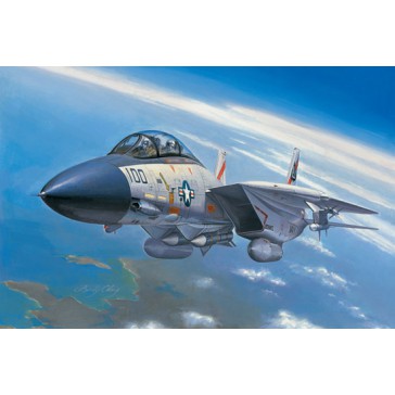 F-14A Tomcat 1/72