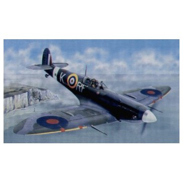 Spitfire Mk.Vb 1/24