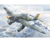 Luftw.Ju 87D "Stuka" 1/24