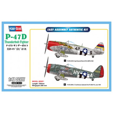 P47D Thunderbolt Fighter 1/48