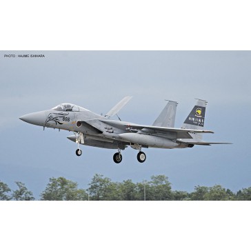 F15J EAGLE 36SQ 35TH A