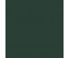 Premium RC acrylic color (60ml) - Dark Green