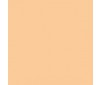 Premium RC acrylic color (60ml) - Flesh Tone