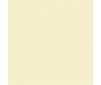 Premium RC acrylic color (60ml) - Metallic Medium