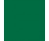 Premium RC acrylic color (60ml) - Basic Green