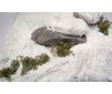 Diorama effects Ground Textures - Snow (200 ml.)
