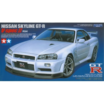 Nissan Skyline GTR-V