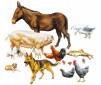 Animaux de ferme