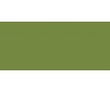 Peinture Acrylique Model Color (17ml) - Matt Olive Green