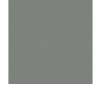 Acrylic paint Model Air (17ml)  - Agressor Gray