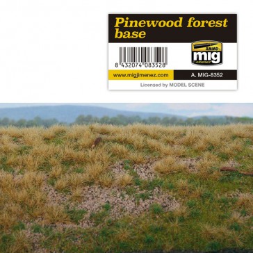 PINEWOOD FOREST BASE VEGETATION
