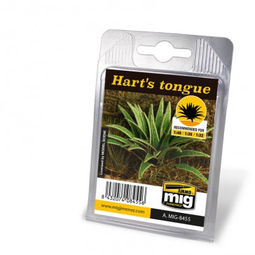 HART'S TONGUE VEGETATION