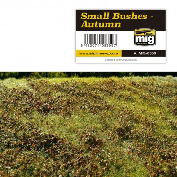 SMALL BUSHES - AUTUMN VEGETATION