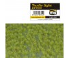 TURFTS LIGHT GREEN VEGETATION