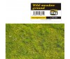 WILD MEADOW GROUND VEGETATION