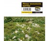 STONY MOUNTAIN - SPRING VEGETATION