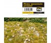 STONY MOUNTAIN GROUND VEGETATION