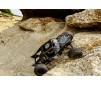 1/10 GOM ROCK BUGGY PLUS KIT