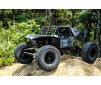 1/10 GOM ROCK BUGGY RTR KIT