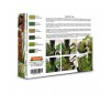 Lichen & Moss Powder & Color Set