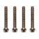 DISC.. TI SCREWS 3 X 22MM BHCS (4) TITANIUM