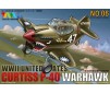 Cute Plane US Curtiss P-40 Warhawk