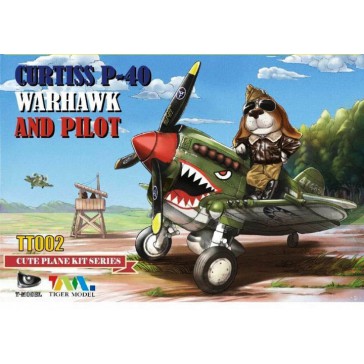 Curtis P-40 Warhawk Fighter & Pilot