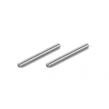 REAR ARM PIVOT PIN (2)