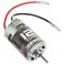 AR390175 Mega 550 12T Brushed Motor