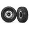 Tires and wheels, assembled, glued (TRX-4 satin beadlock wheels, Cany