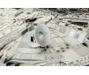 Millennium Falcon - 1:72