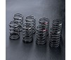 Coil spring set 25mm (8)