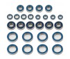 TEAM B74 BEARING SET