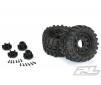 INTERCO TSL SX S.SWAMP 2.8" TYRES ON RAID 6x30 BLK WH