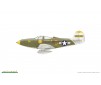 P-39K/ N  Weekend Edition  - 1:48