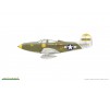 P-39K/ N  Weekend Edition  - 1:48