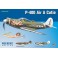 P-400 Air Cuttie Weekend Edition  - 1:48