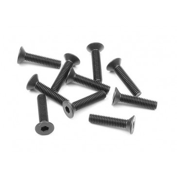 Hex Screw Sfh M3X14 (10)