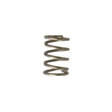 T&C Acc. Valve Spring