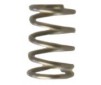 T&C Acc. Valve Spring