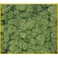 Decor Island Mos       Groen    50g